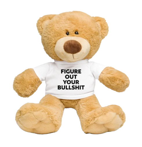 Tan teddy bear wearing FOYB t-shirt
